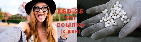 PSILOCYBIN Магадан