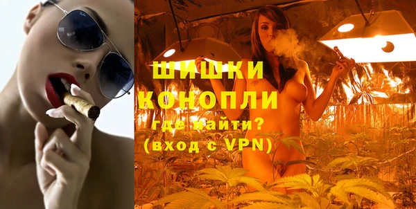 дурь Бронницы